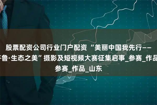 股票配资公司行业门户配资 “美丽中国我先行——镜观齐鲁·生态之美”摄影及短视频大赛征集启事_参赛_作品_山东