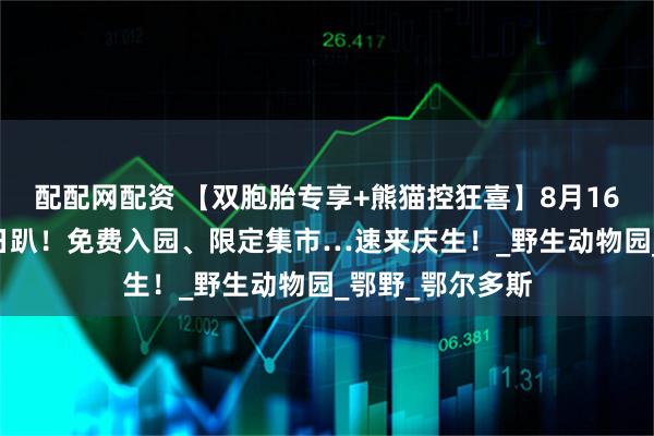 配配网配资 【双胞胎专享+熊猫控狂喜】8月16日巧喜11岁生日趴！免费入园、限定集市…速来庆生！_野生动物园_鄂野_鄂尔多斯