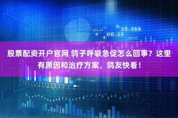 股票配资开户官网 鸽子呼吸急促怎么回事？这里有原因和治疗方案，鸽友快看！